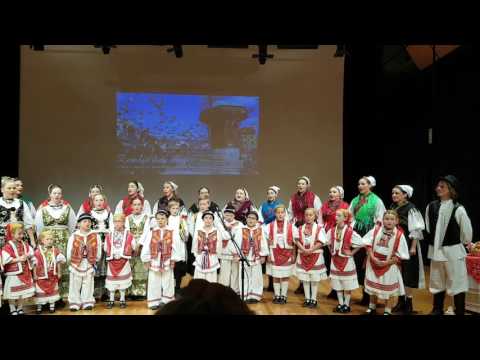 HKUD Lado Geelong Live in concert 29.05.2016