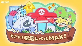すべてのエリアを環境レベルMAXにしたい✨｜1日目【ぽこあポケモン】