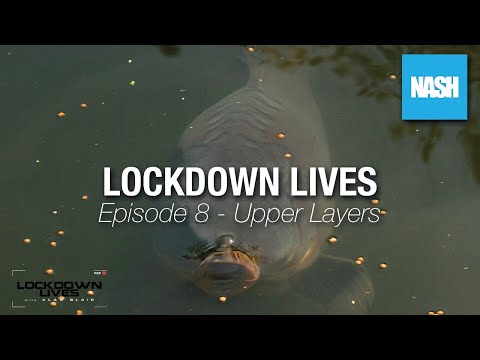 Alan Blair - Lockdown Lives - Episode 8 - Upper Layers