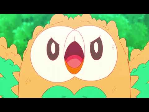 Rowlet [AMV] Rise Up #amv #rowlet #pokemon #pokemonedit