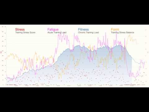 What is the Performance Management Chart
