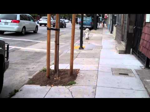 072314p1 SFGH - WTF Denied Emergency Care - see 072314p3 SFGH