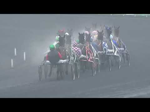 Bel Avis - Finale du Grand National du Trot ParisTurf 2017