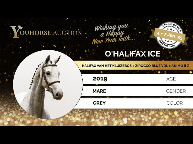 O Halifax ICE Impression