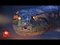 Anaconda 1997 The Snake Eats Owen Wilson Alive Scene Movieclips
