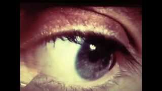 Engineers - Fight or Flight (from Always Returning)