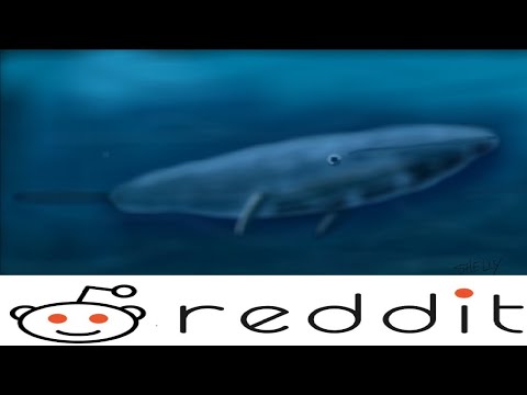 Blue Whale Game Reddit