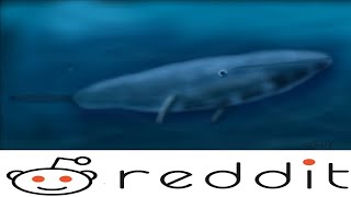 How To Beat The Blue Whale Challenge On Reddit