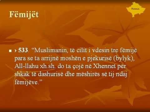 Rijadus Salihin - TË NDRYSHME - 02