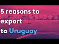 What are the 5 reasons to export to Uruguay?