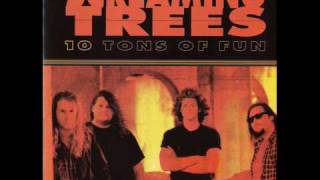 Screaming Trees - Peace in the Valley