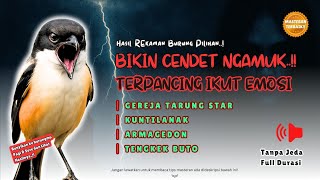 Download lagu Masteran Cendet Ganas Terbaik 2025! Gereja Tarung, Kuntilanak, Armageddon & Tengkek Buto Full Emosi mp3