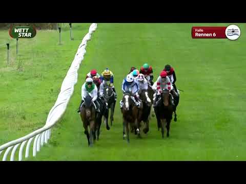 BBAG Auktionsrennen Magdeburg