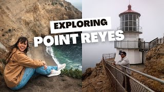 Discover Point Reyes: Things to Do, See, & Eat!