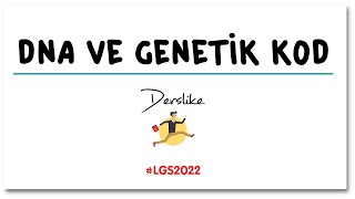 DNA ve Genetik Kod | LGS 2022