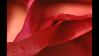 ROUGE (Michel SARDOU)