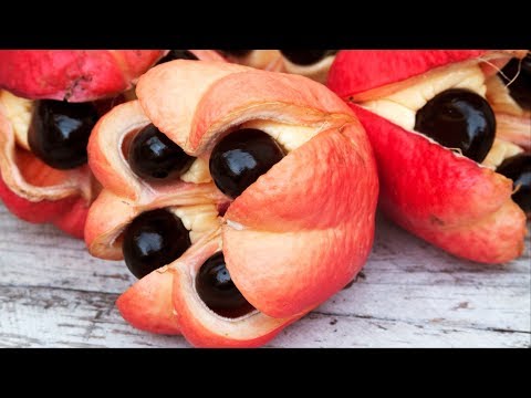 10 Most Rarest and Tastiest Fruits in the World