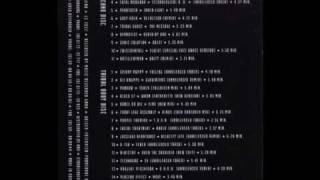 Lassigue Bendthaus - Velocity life