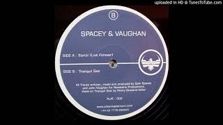 Spacey  & Vaughan - Tranquil Sea (2002)