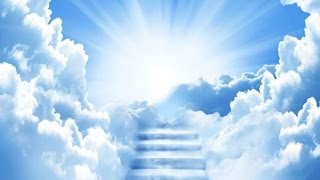 Northern Lights by Ryan Farish