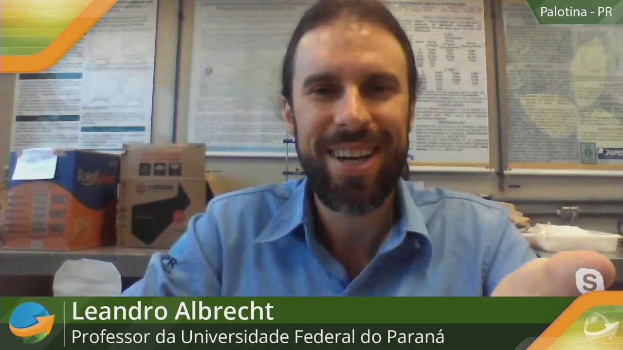 Eficiência no controle de plantas daninhas antecedendo a soja