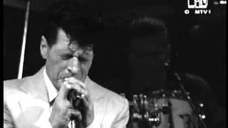 Herman Brood | Doreen (+ lyrics)