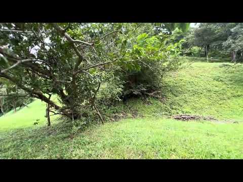 Imagen de Venta de Lotes y Terrenos en Atenas - Atenas Atenas - ALAJUELA