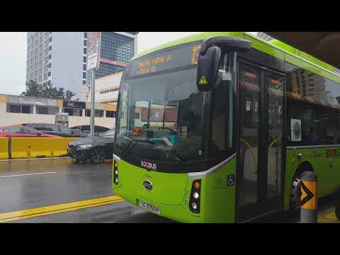 SBS Transit: [SG3056H] On Service 135 Departing "Opp P.P." Bus Stop Along Marine Parade Road