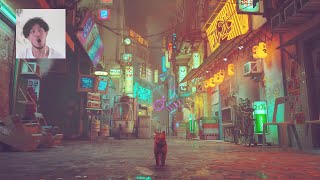 今話題の［Stray］をやってみる