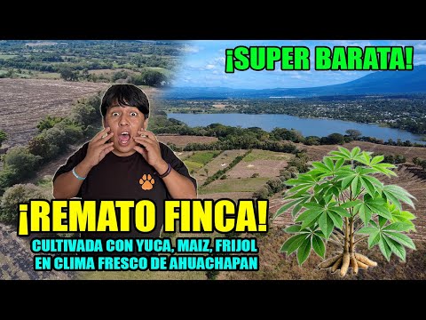 Vendo Finca con 4 Manzanas de terreno cultivadas con Yuca, Frijol y Maiz a 3 minutos de la Laguna