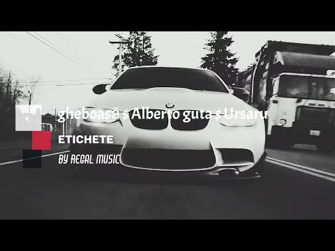 GHEBOASĂ-ALBERTO GUTA - URSARU $ ETICHETE $ (REMIX BY REGAL MUSIC)