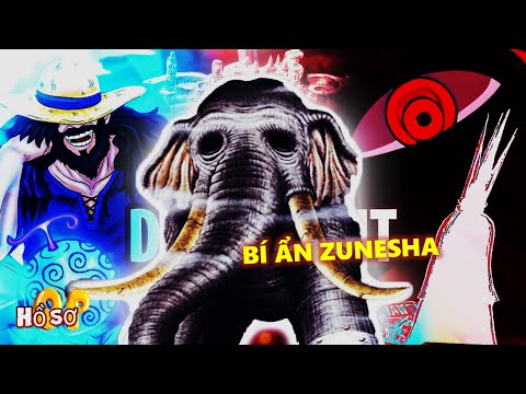 Who Is Joy Boy in One Piece? Explained