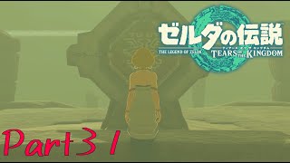 だいぶ匂わせてるし、そろそろこいつが黒幕でいいのでは？？？？？-ゼルダの伝説 Tears of the Kingdom -part31-