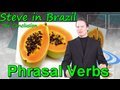 Learn English with Steve- Peppy 27- Make Phrasal Verbs