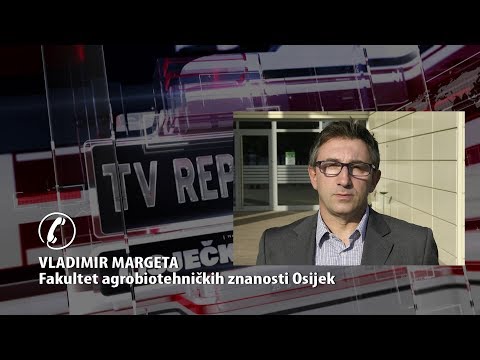 TV REPLIKA 18.03.2020. - JESMO LI ZAPOSTAVILI DOMAĆU PROIZVODNJU HRANE?
