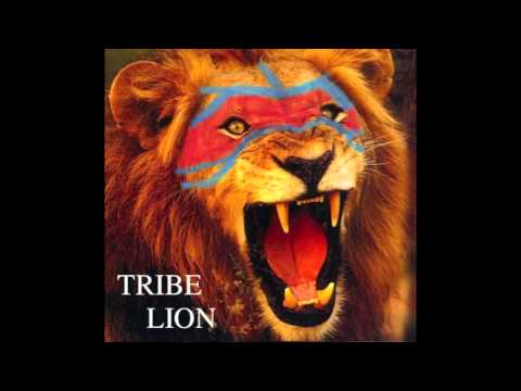 Tribe Lion - Papa