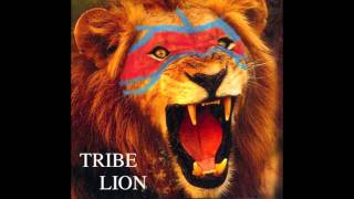 Tribe Lion - Papa