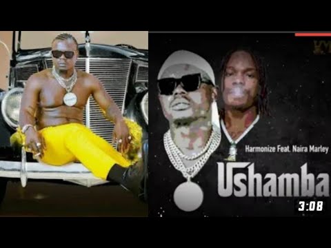 Harmonize ft Naira marley-ushamba remix(official audio)