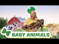 Baby Animals On The Farm Season 2 Brecky Breck Field Trips For Kids Puppies Horses Goats Piglets
