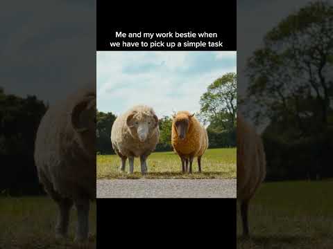 Everything is a two person job.