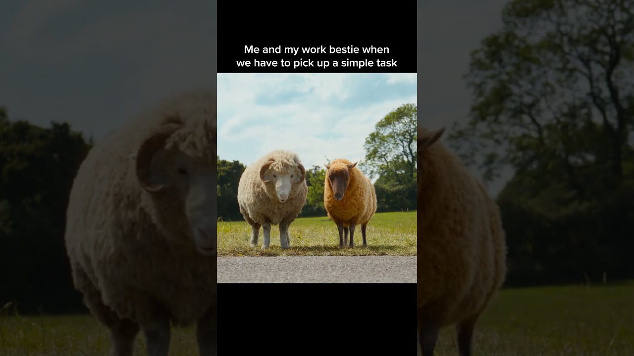 Everything is a two person job.