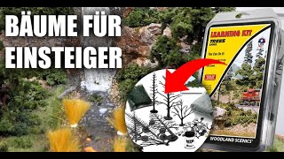 Einsteigerset Bäume - Woodland Scenics | TBasics