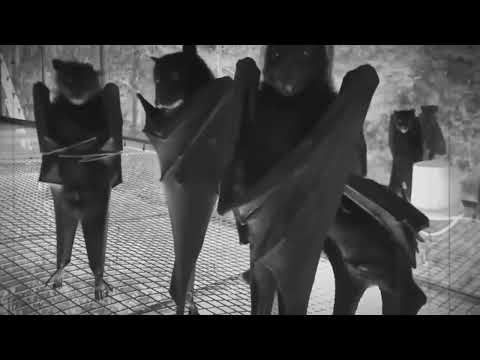 Dead On A Sunday - Bloody Mary (Lady Gaga cover)