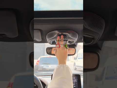 FIAT PULSE | PIQUENIQUE