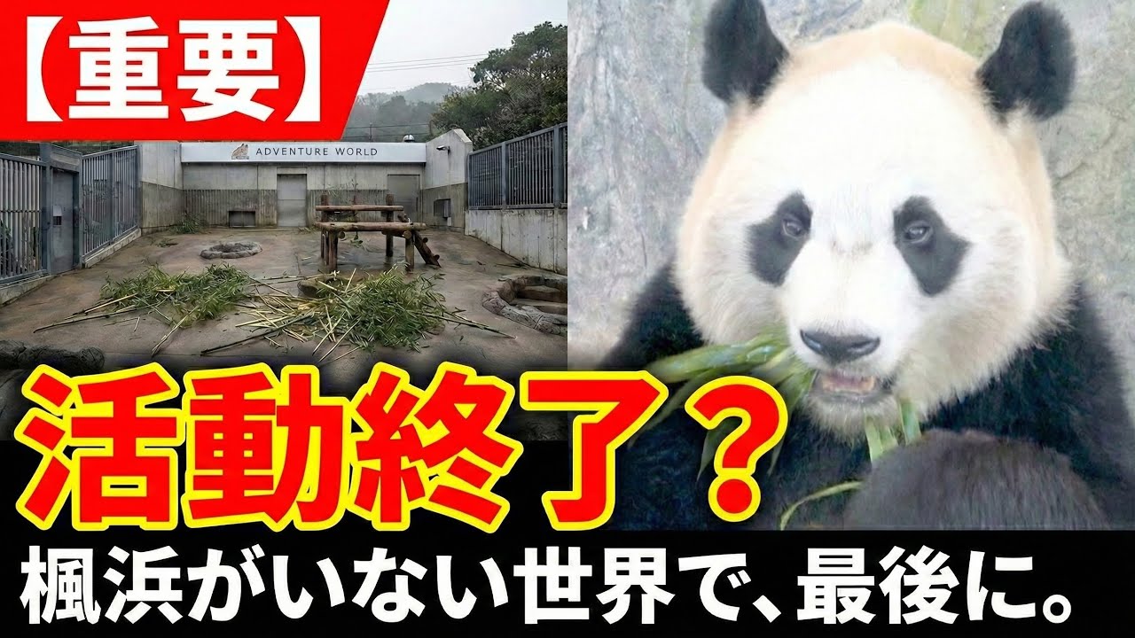 今までありがとうございました。楓浜返還から半年、私が最後に伝えたかった本音🐼