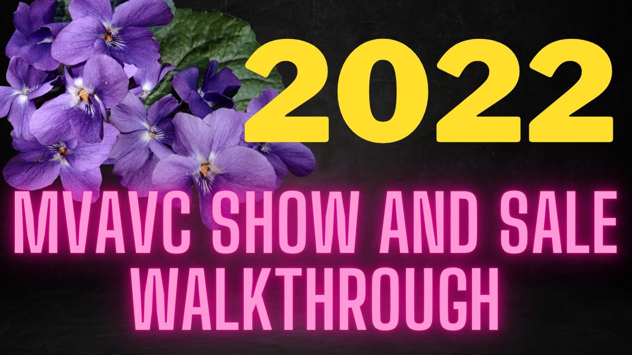 2022 MVAVC Show and Sale Walkthrough