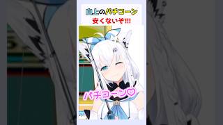 白上フブキのバチコーンは安くないぞ！  #白上フブキ #ホロライブ切り抜き