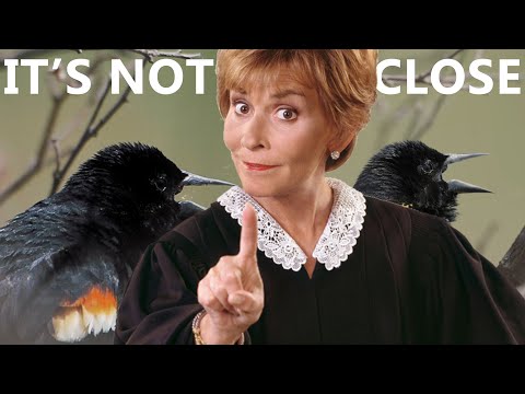 So THAT'S Why People Shoot Full Frame