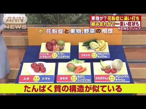 セロリアレルギー:これが症状の現れ方です 植物