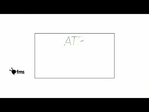 AMC - Clasificación de películas: ATP